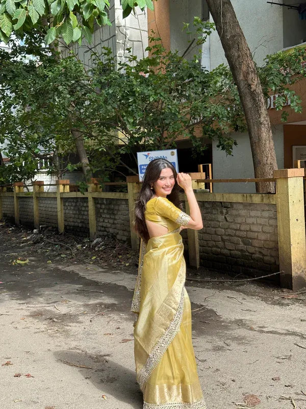 Banarasi Rajkumari Mirror Work Tissue Silk Saree